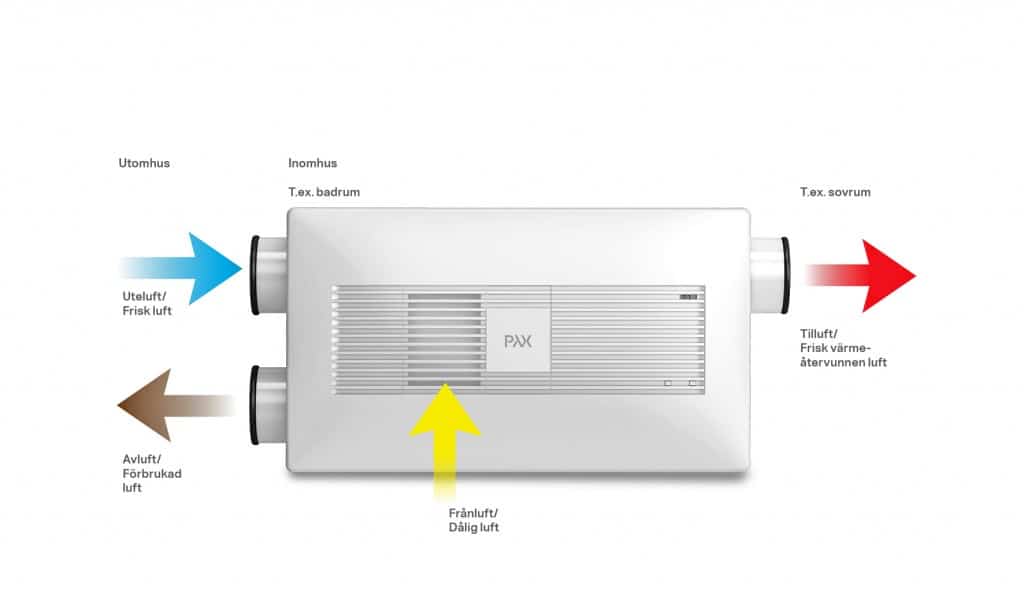pax eos 1